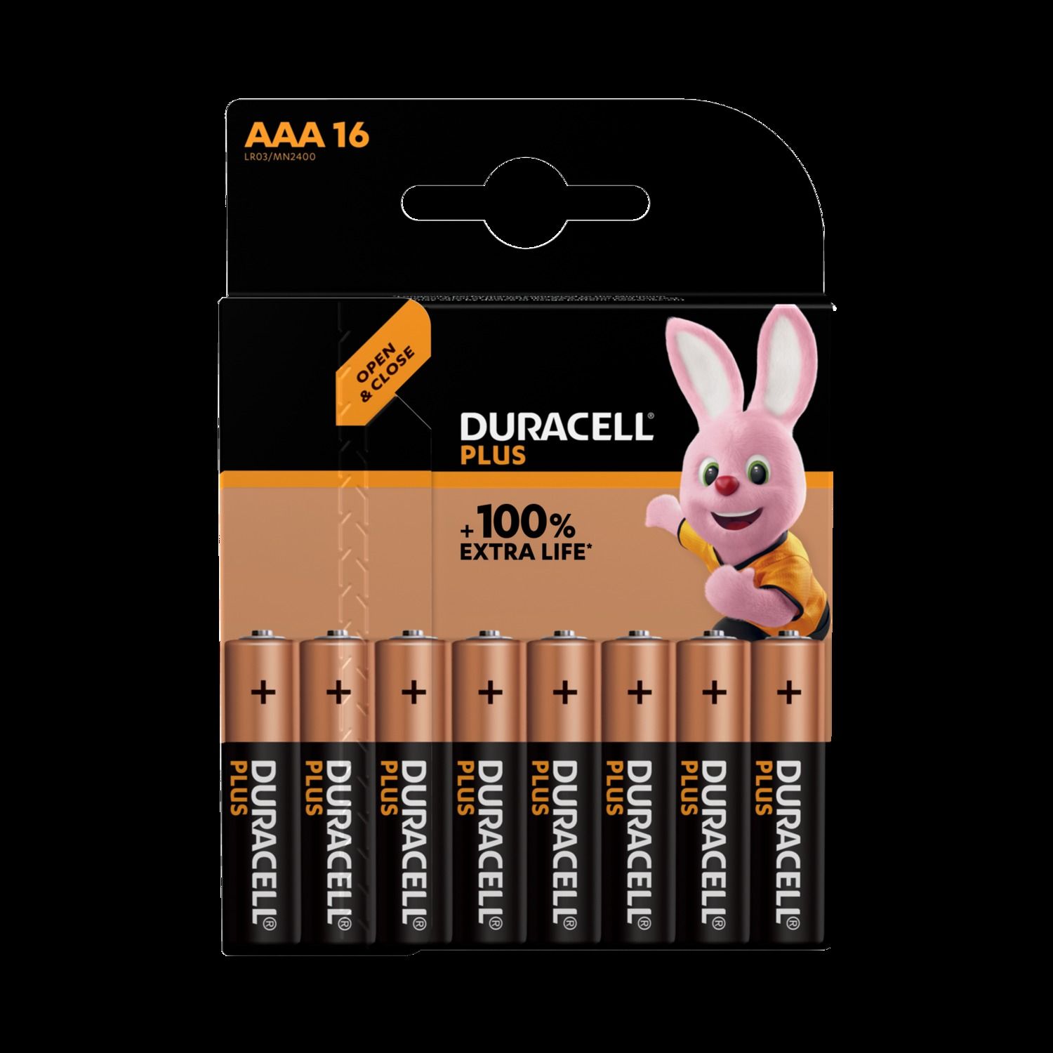MN2400 Duracell Plus Mainline 100%  CP16